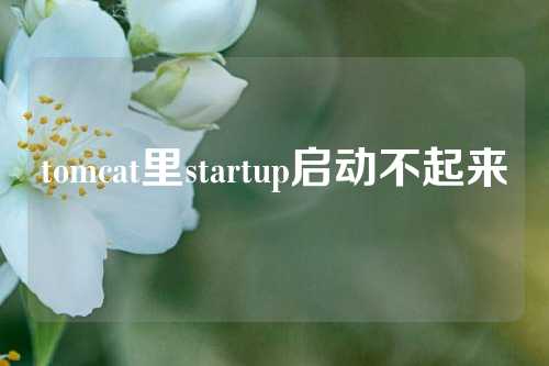 tomcat里startup启动不起来