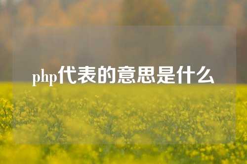 php代表的意思是什么