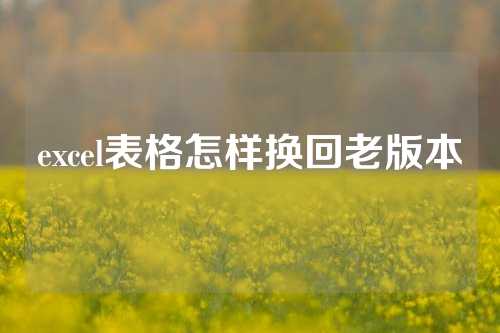 excel表格怎样换回老版本