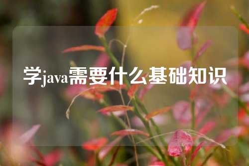 学java需要什么基础知识