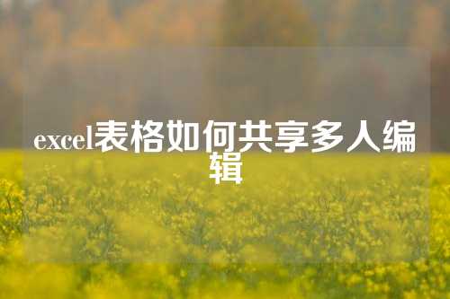 excel表格如何共享多人编辑