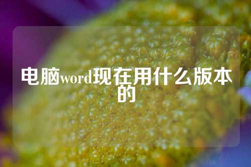 电脑word现在用什么版本的