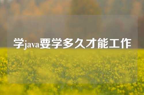 学java要学多久才能工作