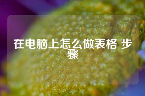 在电脑上怎么做表格 步骤