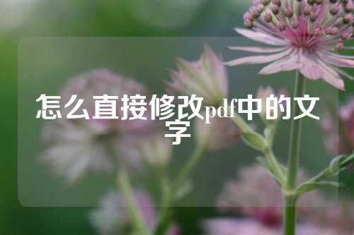 怎么直接修改pdf中的文字