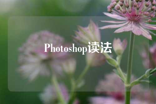 Photoshop读法