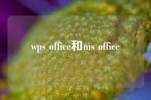 wps office和ms office