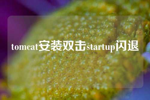 tomcat安装双击startup闪退