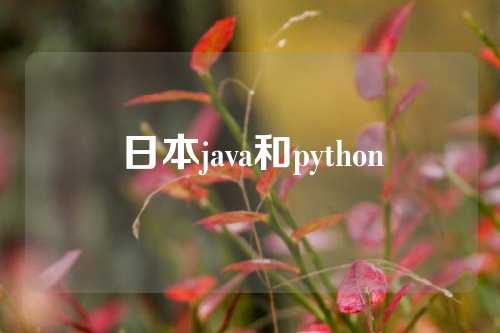 日本java和python