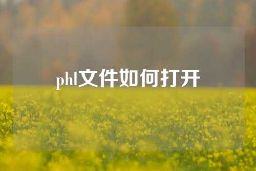 phl文件如何打开