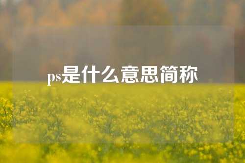 ps是什么意思简称