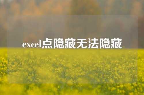 excel点隐藏无法隐藏