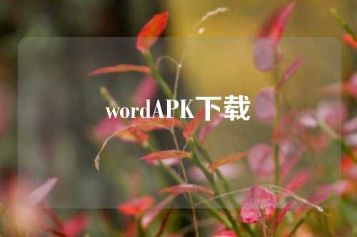 wordAPK下载