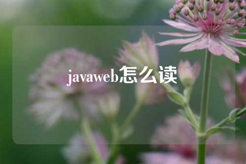 javaweb怎么读