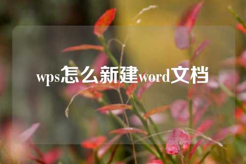 wps怎么新建word文档