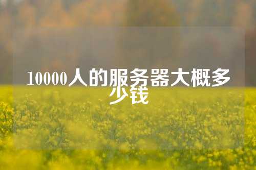 10000人的服务器大概多少钱