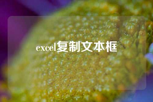 excel复制文本框