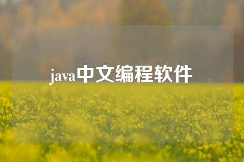 java中文编程软件