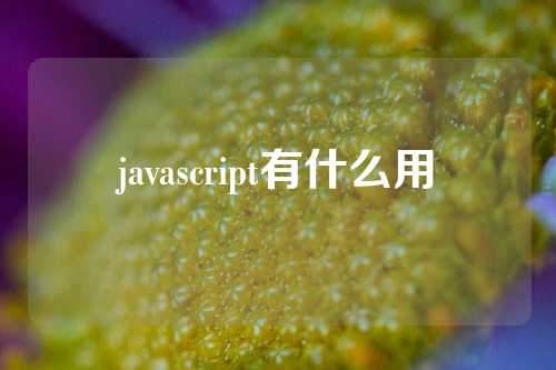 javascript有什么用