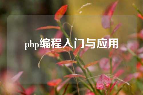 php编程入门与应用