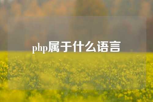 php属于什么语言