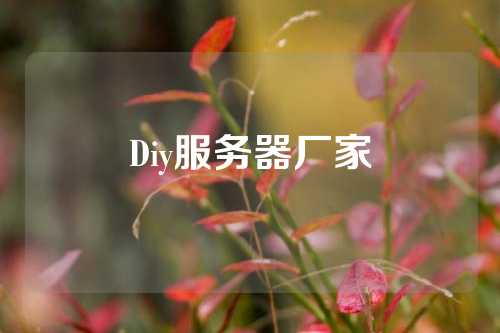 Diy服务器厂家