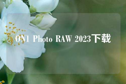 ON1 Photo RAW 2023下载