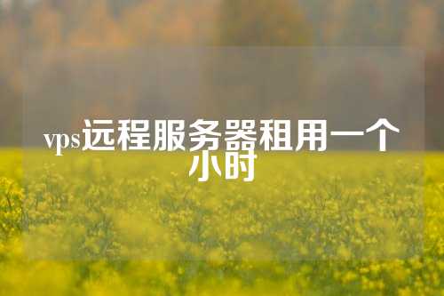 vps远程服务器租用一个小时