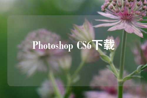 Photoshop CS6下载