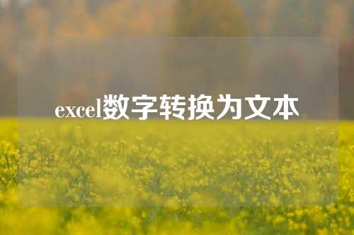 excel数字转换为文本