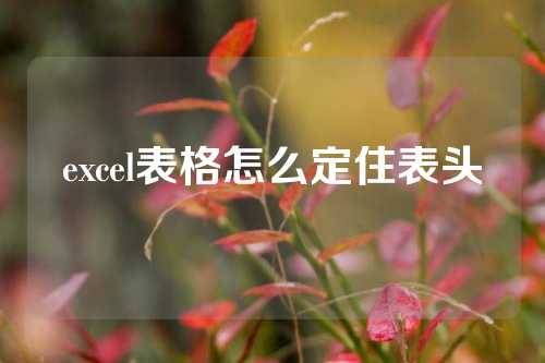 excel表格怎么定住表头