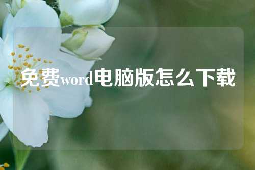 免费word电脑版怎么下载