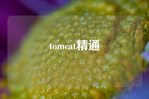 tomcat精通