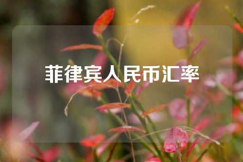 菲律宾人民币汇率