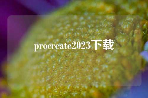 procreate2023下载