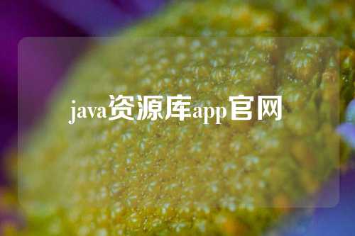 java资源库app官网