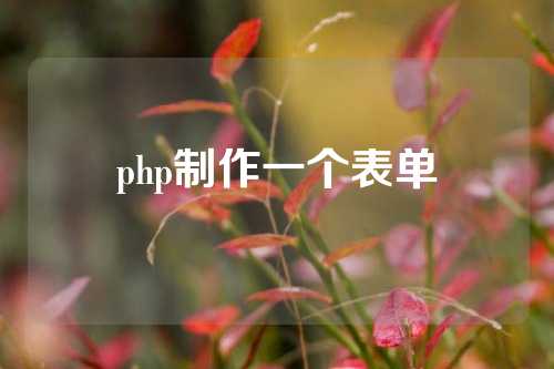 php制作一个表单