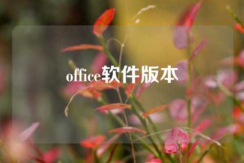 office软件版本