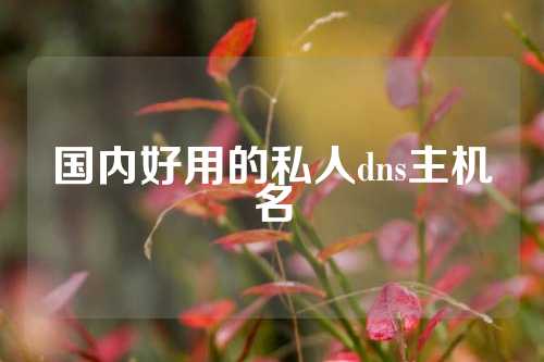 国内好用的私人dns主机名