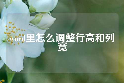 word里怎么调整行高和列宽