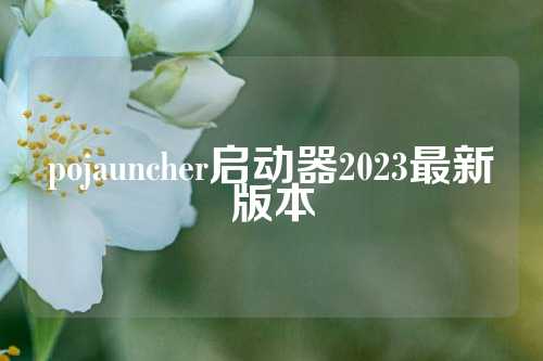 pojauncher启动器2023最新版本