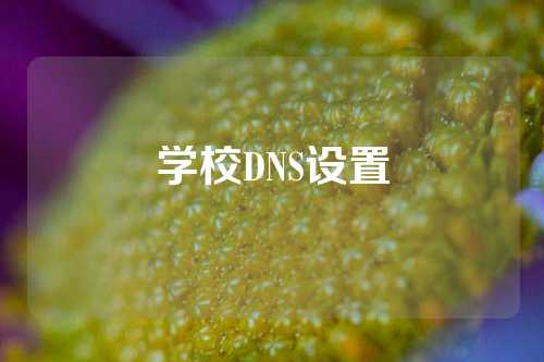 学校DNS设置