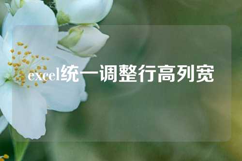 excel统一调整行高列宽