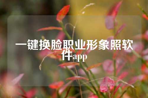 一键换脸职业形象照软件app