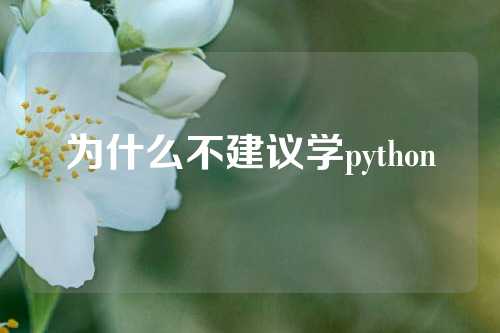 为什么不建议学python