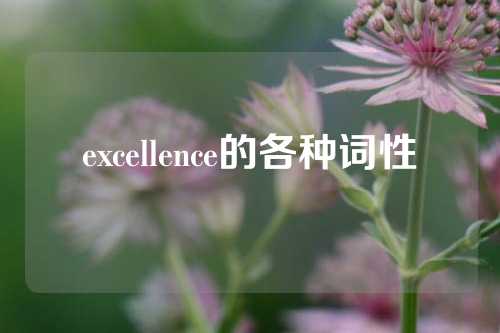 excellence的各种词性