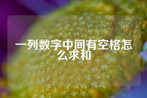 一列数字中间有空格怎么求和