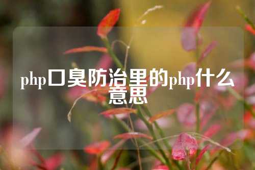 php口臭防治里的php什么意思