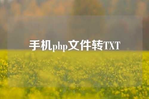 手机php文件转TXT