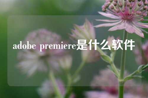 adobe premiere是什么软件